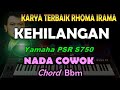 Rhoma Irama - Kehilangan (KARAOKE)