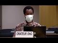 43rd Session UN Human Rights Council - Urgent Debate on racism and justice systems - Mutua Kobia