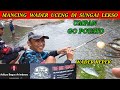 Mancing Ikan Bersama Micro Fishing Blitar Mabar di Sungai Lekso @adityapete