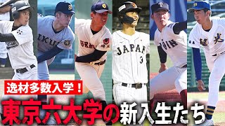 【ドラフト上位を狙える逸材多数】U-18の主砲、仙台育英エースなどが入学！東京六大学の新入生は今年も凄い！