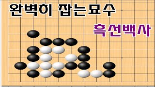 패없이 완벽히 잡는 묘수 - 바둑문제 실전묘수