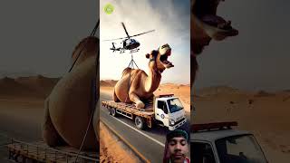 #animals #camel #respect #love #petanimals #helpcamel #trandingshorts #viralvideo