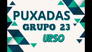 Puxadas Grupo 23.Urso