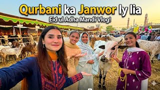 EID KA JANWAR LY LIA🐮| Mandi me itna rush😱| NA158