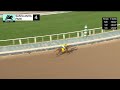 safa wins race 4 on saturday january 6 at santa anita park