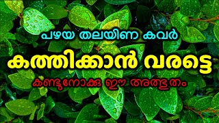 പഴയ തലയിണ കവർ കത്തിക്കാൻ വരട്ടെ കണ്ടുനോക്കു ഈ അത്ഭുതം