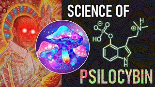 Psilocybin Synthesis in 4 Steps & How Magic Mushrooms Rewire Brain Networks (Psychedelic Science)