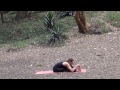 nithya yoga for weight loss u0026 fitness intermediate sequence