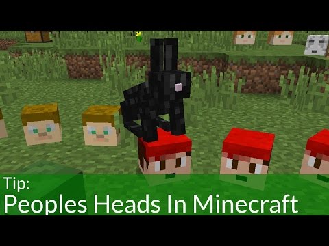How To Get People's Heads In Minecraft How To Get People's Heads In Minecraft