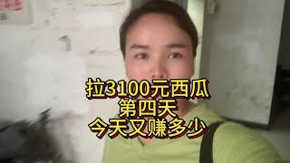 拉3100元西瓜的第四天 今天媳妇一个人卖货 老公回老家拉瓜了