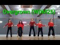Overgrown (WDM25) line dance (Intermediate) Demo