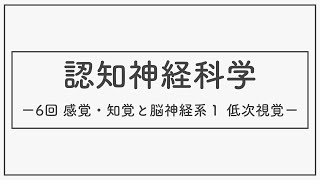 認知神経科学（神経・生理心理学）2021_06_01_感覚・知覚と脳神経系１_低次視覚