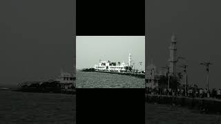 Haji Ali Mazar Sharif #just wow nice #love #shortvideo