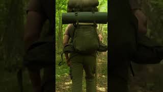 Survival in the forest #shorts #bushcraft #survival #forest