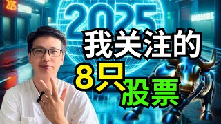 2025年我精选关注的8只股票 【理财投资】 ｜阿布abu