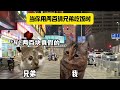 当你用两百快请兄弟吃饭时 猫meme 内容过于真实 兄弟