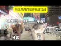 当你用两百快请兄弟吃饭时 猫meme 内容过于真实 兄弟