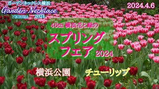 第46回よこはま花と緑のスプリングフェア2024｜横浜公園 10万本を超えるチューリップ-2024年4月6日(土)