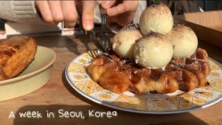 Sub)Seoul Travel Vlog | Euljiro, Chungmuro, Seochon, Bukchon, Ikseon-dong Cafe | Seoul Forest | Taco