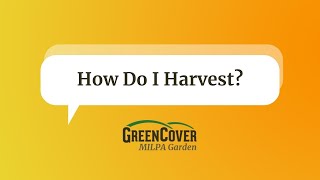 MILPA FAQ - How Do I Harvest?