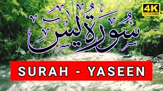 Surah Yasin❤️👍 | Surat ul Yasin💞🎧 | Quran Surah Yasin Recitation💓💯 | Hafiz Arshad Ahmad Official