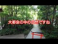 東京都中央区日本橋室町　福徳神社　芽吹稲荷　金福徳稲荷　運アップパワースポット　 神社 shrine