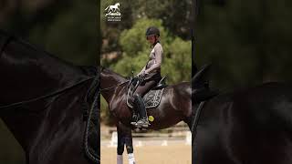 How to Ask for Canter?