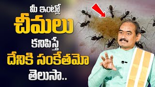 YVS Giri Rao About Nalla Cheemalu - ఇంట్లో నల్ల చీమలు కనిపిస్తే దేనికి సంకేతమో తెలుసా | @sumantvom