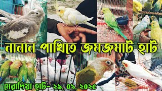 ২০০ টাকা পাখি ৪০০ টাকা জোড়া || মেরাদিয়া পাখির হাট || Bird market bd || Meradia pakhir hat