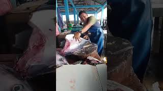 Bro SAFAR POTONG TUNA UKAURAN SEDANG