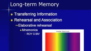 PSY 101 Chapter 6 Video Lecture