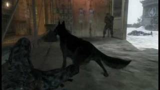 Black Ops K-9 Killcam