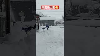 新潟市　大雪　除雪中　大裕建設　#shorts