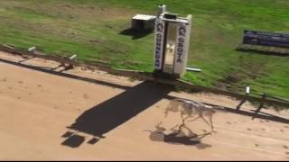 Gunnedah-27-05-2017-Race-2