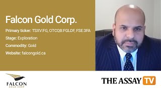 The Assay TV - Karim Rayani, CEO \u0026 Director, Falcon Gold Corp. (TSXV:FG, OTCQB:FGLDF, FSE:3FA)