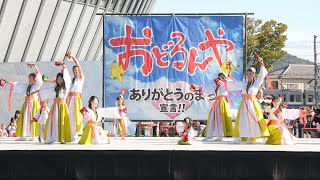 楠見おどりっ子隊 📍​おどるんや～第20回 紀州よさこい祭り～ (和歌山ビッグホエール屋外演舞場) 2024-11-09T13:00