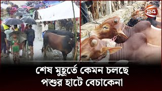 শেষ মুহূর্তে কেমন চলছে পশুর হাটে বেচাকেনা | Channel 24