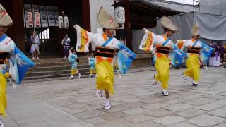 2016東大寺奉納阿波踊り　めちゃ楽連