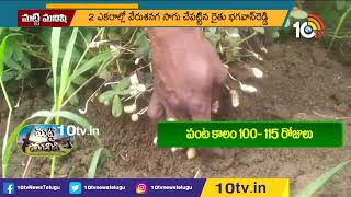 ప్ర‌కృతి విధానంలో వేరుశ‌న‌గ సాగు..! | Peanuts Cultivation | Matti Manishi | 10TV