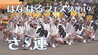 本場徳島の阿波踊り有名連「さゝ連」春らんまん阿波おどり - はな・はる・フェスタ2019（2020.9.13）