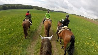 Reitwochenende auf dem Reiterhof Reisach