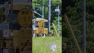 《二股の7踏切》105 系F-07　2023/05/02　福塩線　黄色い電車🌟