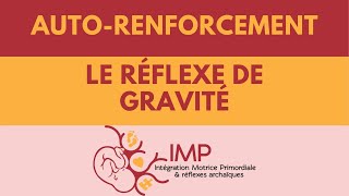 Le réflexe de gravité - Auto renforcement - Intégration Motrice Primordiale IMP