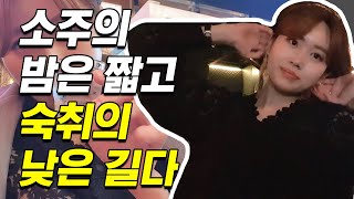 [츄미생활 15화] 숙취있는 자와 숙취 없는 자의 음주와 해장 그 사이ㅣ선 해장 후 음주로그