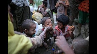 রোহিঙ্গা শরণার্থী ক্যাম্পে কলেরা মহামারি রূপ নিবে