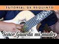 Señor Guarda mi Madre | Tutorial de Requinto - Especial Madres