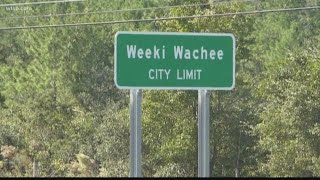 Hernando County takes a big step toward absorbing Weeki Wachi