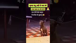 कृपया पशु पक्षियों से प्यार करे,🙏#viralvideo #shortsvideo #doglover #petlover #trend #dogshorts