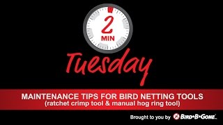 Maintenance Tips for Bird Netting Tools