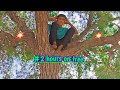 #2 Hours On Tree 🐜 Citiyon Ne Kat Liya 😱 |Mister_King |